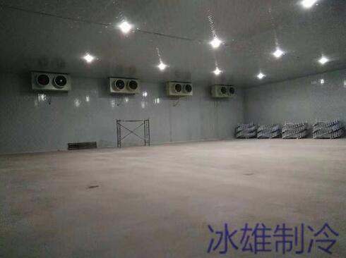 冷庫設(shè)備如何重要，改如何正確的維修呢？
